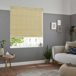 Seattle Zest Roman Blind