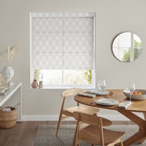 Humphrey Ice Roller Blinds