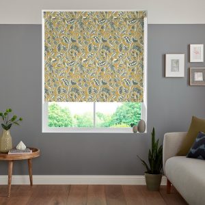 Bailey Zest Roller Blinds