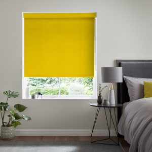 Lennie Luna  Roller Blinds