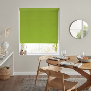 Lennie Kiwi Roller Blinds