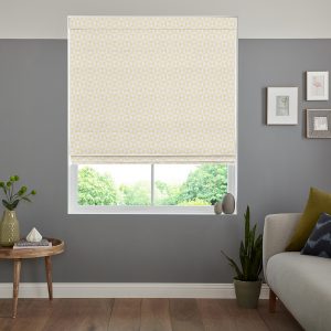 Albion  Zest Roman Blind