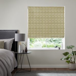 Eleanor  Zest Roman Blind