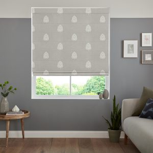 Larinn  Silver Roman Blind