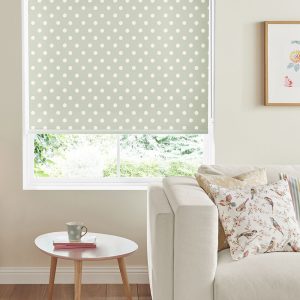 Button Spot Aloe Roller Blinds