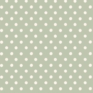 Button Spot Aloe Roller Blinds