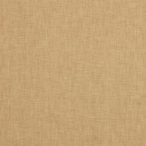 Easton Gold Curtain