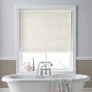 Lady Fern Dark Dove Grey Roman Blind