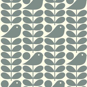 Early Bird Cool Grey Roller Blinds