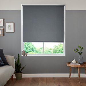 Lennie Charcoal Roller Blinds